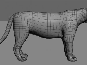 benzersiz kedi paketi 3D Model