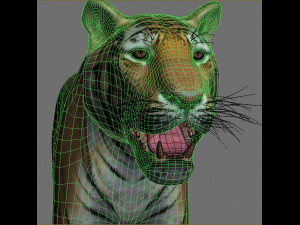 unique feline pack Modelo 3D