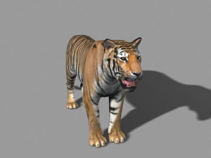 unique feline pack Modelo 3D