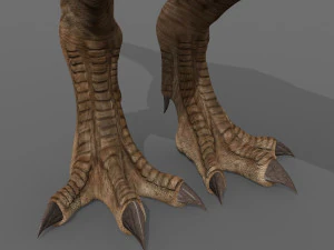 t rex the one 3D Model