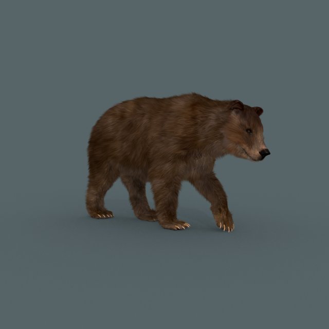best bear - 3d animated brown bear Model 3D .c4d .max .obj .3ds .fbx .stl .blend 
