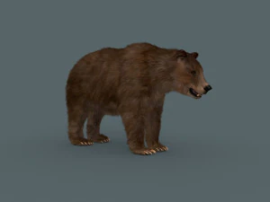 best bear - 3d animated brown bear 3D Model