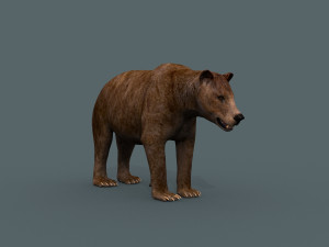 best bear - 3d animated brown bear Model 3D