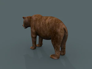 best bear - 3d animated brown bear 3D Model