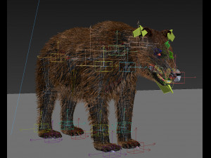 best bear - 3d animated brown bear Model 3D