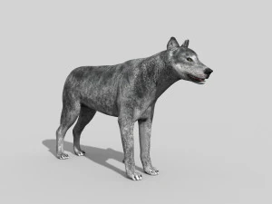 wolfgang - 3d animated wolf model 3D Model