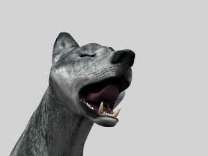 wolfgang - 3d animated wolf model 3D Model