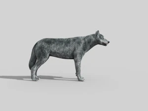 wolfgang - 3d animated wolf model 3D Model