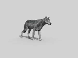 wolfgang - 3d animated wolf model 3D Model
