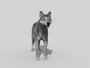wolfgang - 3d animated wolf model 3D Model
