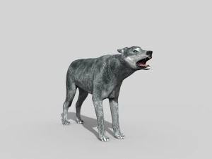 wolfgang - 3d animated wolf model 3D Model
