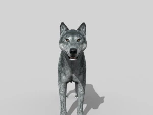 wolfgang - 3d animated wolf model 3D Model