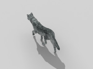 wolfgang - 3d animated wolf model 3D Model