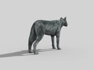 wolfgang - 3d animated wolf model 3D Model