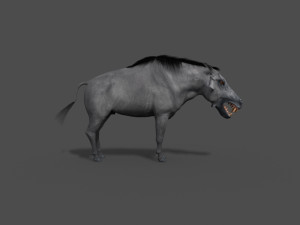 hell pig - daeodon shoshonensis 3D Модель