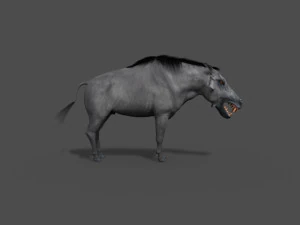 hell pig - daeodon shoshonensis 3D Model