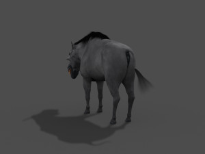 hell pig - daeodon shoshonensis 3D Модель