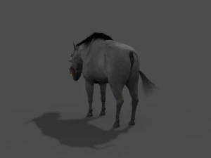 hell pig - daeodon shoshonensis 3D Model