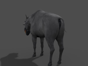 hell pig - daeodon shoshonensis 3D Модель