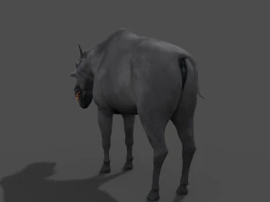 hell pig - daeodon shoshonensis 3D Model