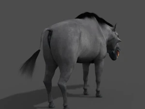 hell pig - daeodon shoshonensis 3D Model