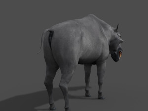 hell pig - daeodon shoshonensis 3D Модель