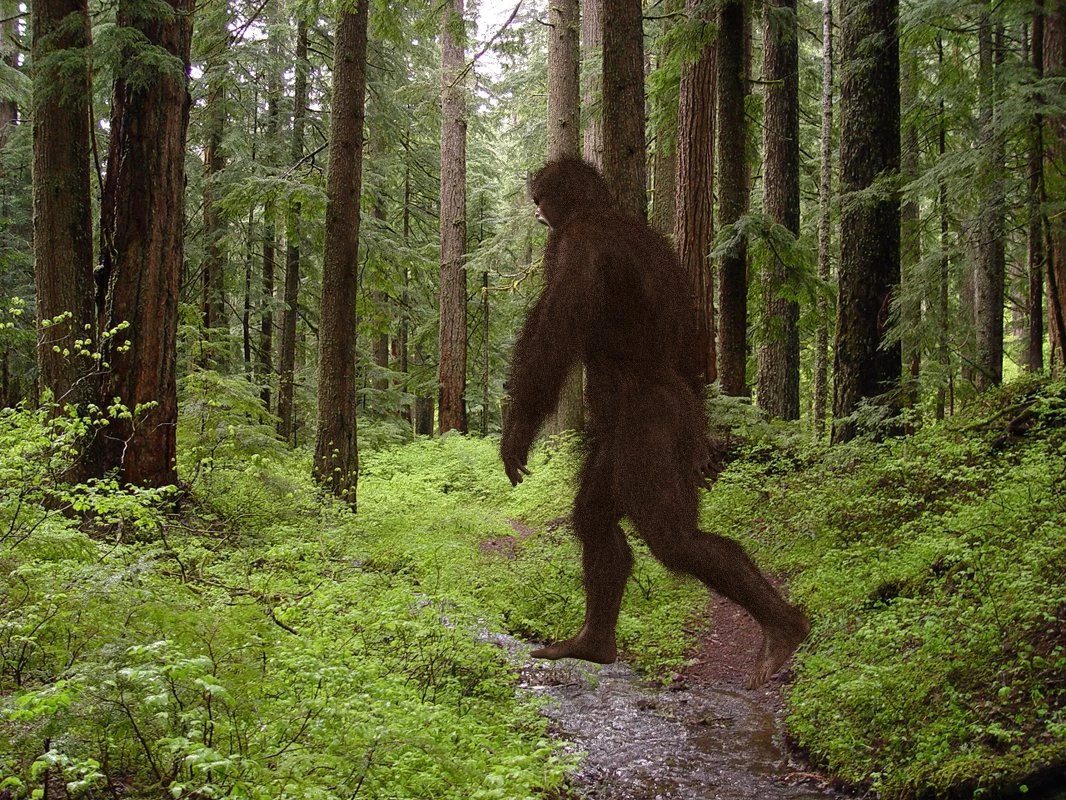 big foot - sasquatch - animated 3D Model .c4d .max .obj .3ds .fbx .stl .blend 