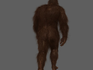 big foot - sasquatch - animated Model 3D