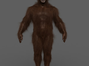 big foot - sasquatch - animated Model 3D