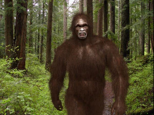 big foot - sasquatch - animated 3D Model