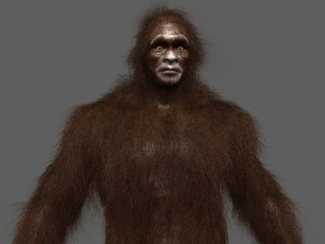 big foot - sasquatch - animated 3D Model