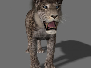 female sabretooth - 3d animated model 3D Model