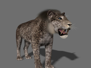 female sabretooth - 3d animated model 3D Model
