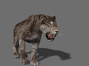 female sabretooth - 3d animated model 3D Model