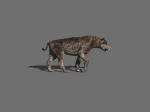 female sabretooth - 3d animated model 3D Model