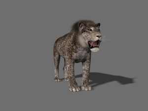 female sabretooth - 3d animated model 3D Model