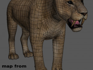 female sabretooth - 3d animated model 3D Model