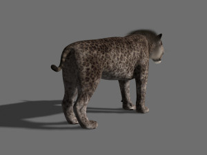 female sabretooth - 3d animated model 3D Model
