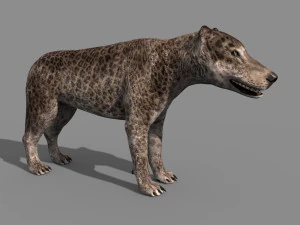 andrewsarchus - 3d animated model 3D Model