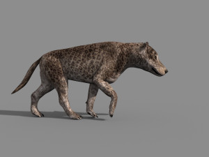 andrewsarchus - 3d animated model Modello 3D
