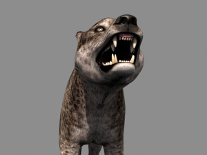 andrewsarchus - 3d animated model Modello 3D
