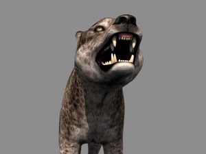 andrewsarchus - 3d animated model 3D Model