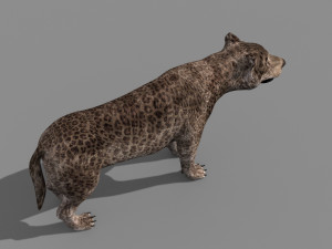 andrewsarchus - 3d animated model Modello 3D