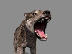 andrewsarchus - 3d animated model Modello 3D