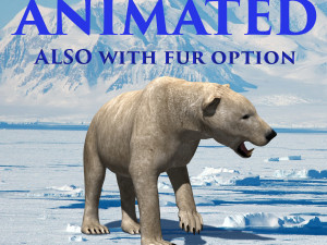 3d animated polar bear 3D Model