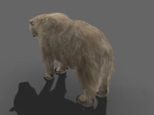 3d animated polar bear 3D Model