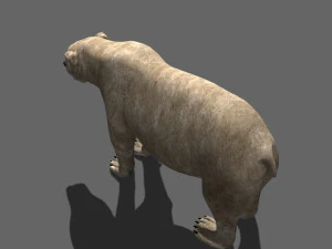 3d animated polar bear 3D Model
