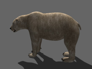 3d animated polar bear Modèle 3D