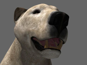 3d animated polar bear 3D Model