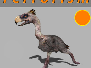 terror bird phorusrhacos 3D Model